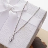 Chenglong Jewelry Titanium Steel Necklace C0323-33.2 Application Scenario